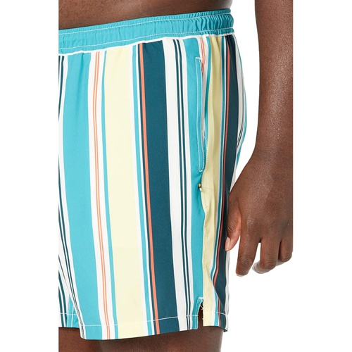  Johnny Bigg Big & Tall Cabana Stripe Stretch Swim Shorts