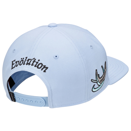 조던 Jordan Pro Jumpman Evo Snapback Cap