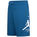 Big Boys Dri-FIT Baseline Mesh Logo Shorts