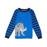 Joules Kids Zany (Toddleru002FLittle Kidsu002FBig Kids)