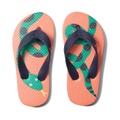 Joules Kids Flip-Flop (Toddleru002FLittle Kidu002FBig Kid)