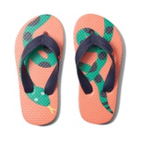 Joules Kids Flip-Flop (Toddleru002FLittle Kidu002FBig Kid)