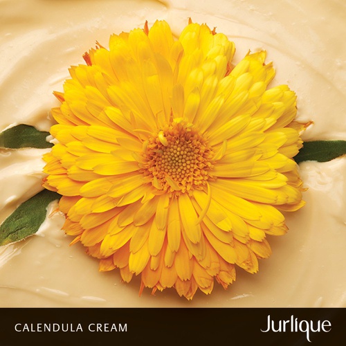  Skin Moisturizer - Jurlique: Calendula Cream - 1.4 oz - Calms Aggravated Skin - Deeply Hydrates Sensitive Skin - Protects Against Environmental Aggressors