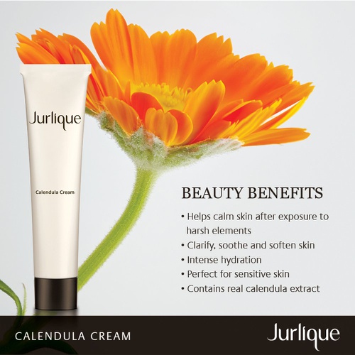  Skin Moisturizer - Jurlique: Calendula Cream - 1.4 oz - Calms Aggravated Skin - Deeply Hydrates Sensitive Skin - Protects Against Environmental Aggressors