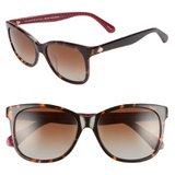 kate spade new york danalyn 54mm polarized sunglasses_DARK HAVANA polarized