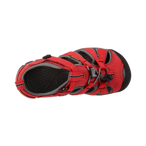 킨 KEEN Kids Seacamp II CNX (Toddler/Little Kid)