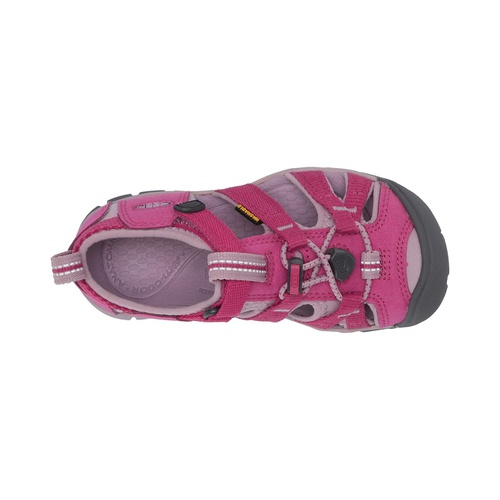 킨 KEEN Kids Seacamp II CNX (Toddler/Little Kid)