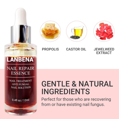  LANBENA Nail Repair Essence, Nails Repair Essence Nail Repair for Damaged Nails Protect Nail from Damage Fingernail and Toenail Repair for Curing Nail from Infection Discolored & D