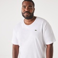 Mens Lacoste XL Regular Fit Pima Cotton Jersey T-Shirt
