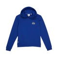 Lacoste Kids Mini-Me Minecraft Croc Logo Pullover Hoodie (Toddleru002FLittle Kidsu002FBig Kids)