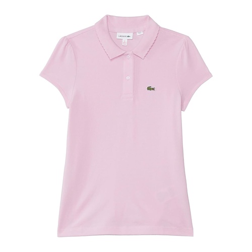 라코스테 Lacoste Kids Short Sleeve Mini Pique New Iconic Polo (Little Kid/Toddler/Big Kid)