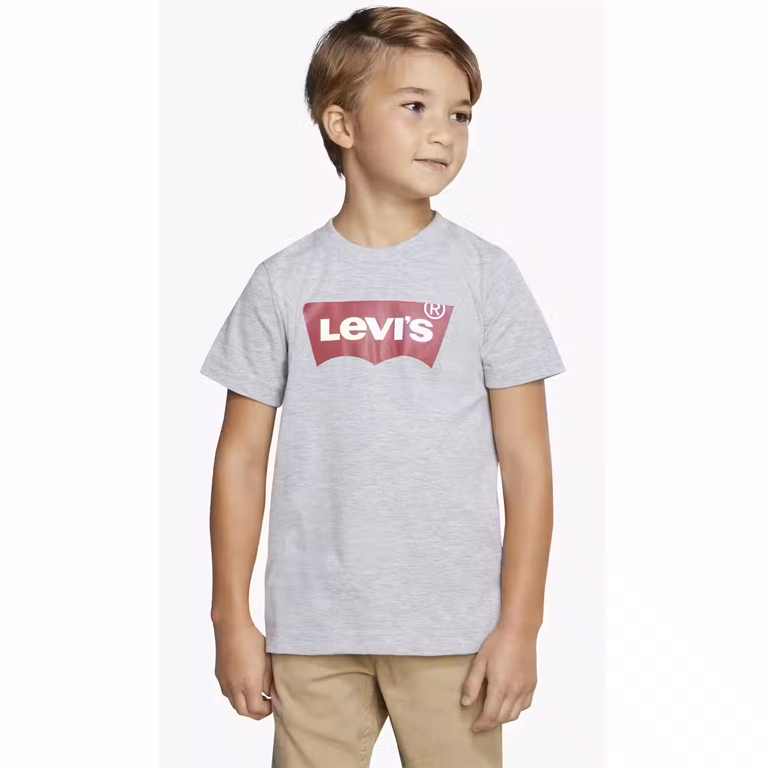 Levi's Levi’s Logo T-shirt Little Boys 4-7