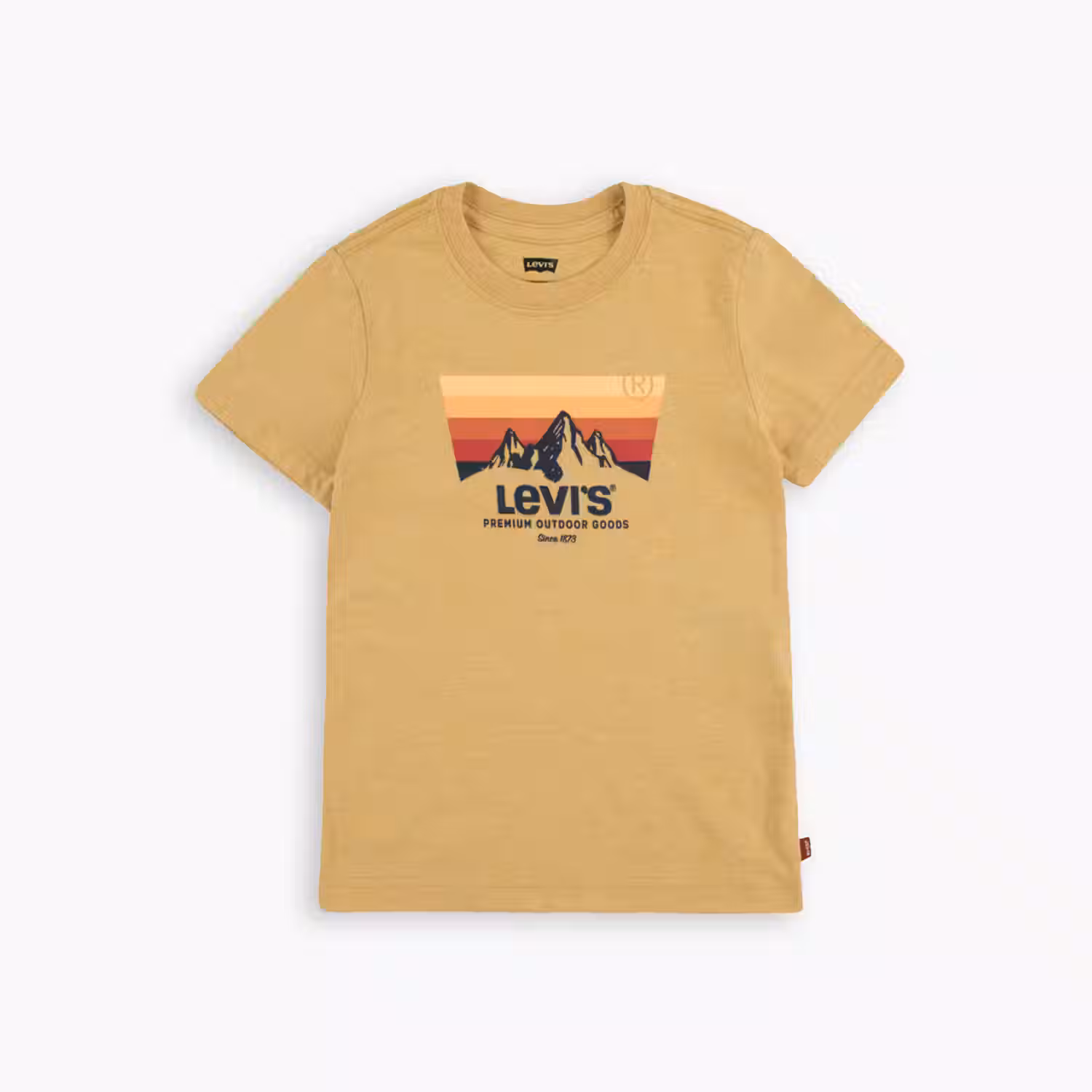 Levis Mountain Batwing Tee Little Boys 4-7
