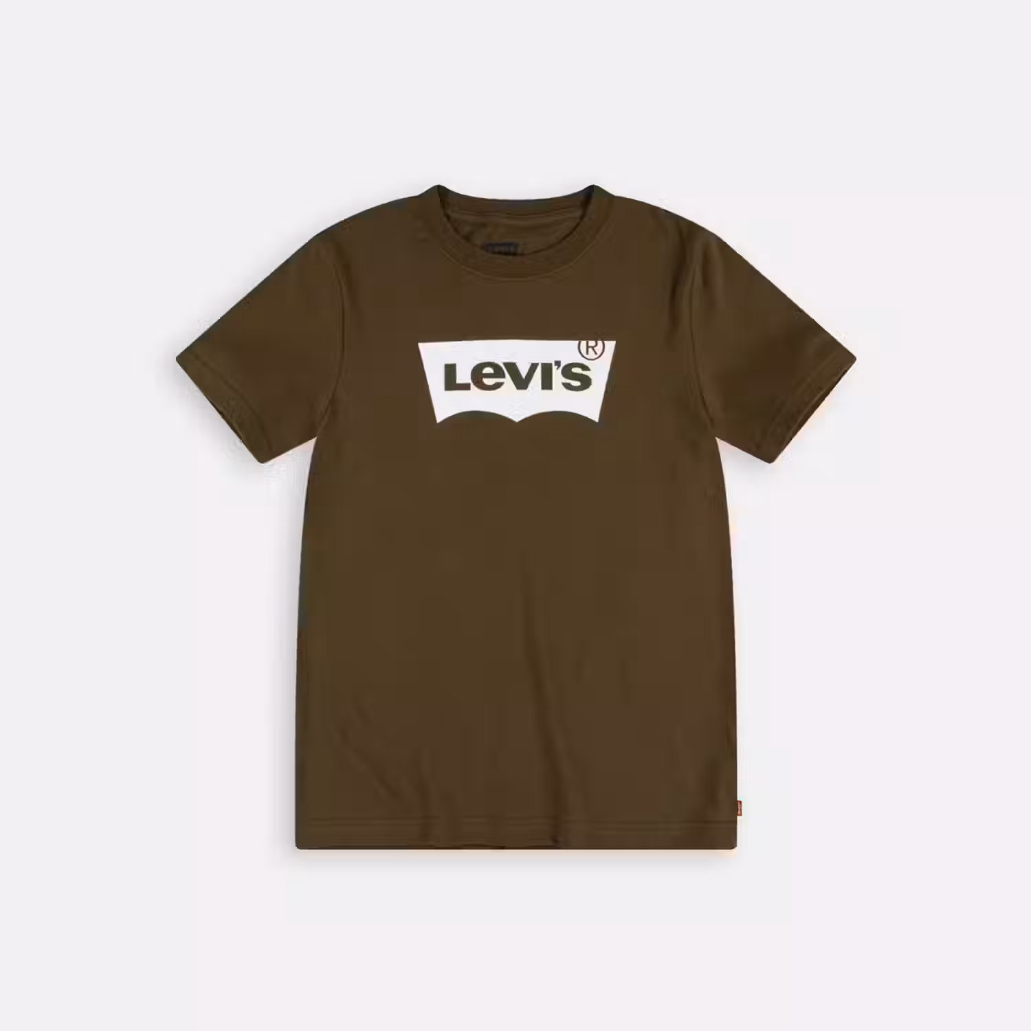 Levis Logo T-shirt Big Boys S-xl