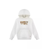 Boys 4-7 Batwing Fill Logo Hoodie