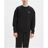 Mens Seasonal Crewneck Relaxed Fit Sweatshirt