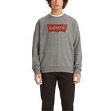 Mens Graphic Crewneck Regular Fit Long Sleeve Sweatshirt