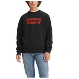 Mens Graphic Crewneck Regular Fit Long Sleeve Sweatshirt