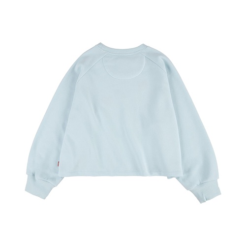 리바이스 Levis Kids Raglan Meet and Greet Crew (Big Kids)