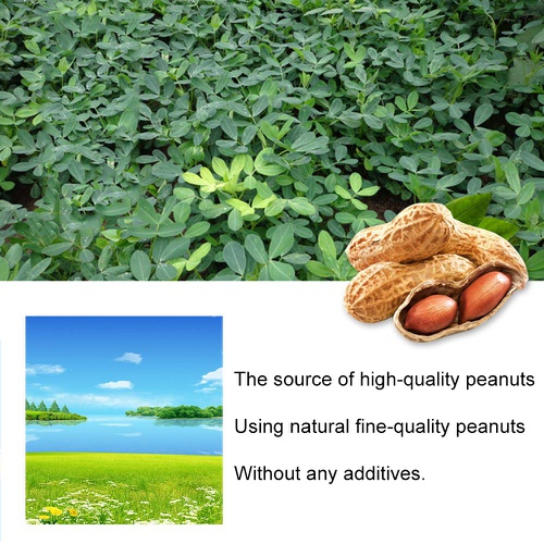  Madamera 2.2lb Chopped Peanuts, Small 1-2mm Cooked Peanuts Food, Condiments for Make Cakes, Nougats, Salads, Dessert, Roasts, Biscuits, Bread Coatings and Bird Feeding (2 Pack)