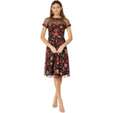 Maggy London Illusion Top Embroidered Fit-and-Flare Dress