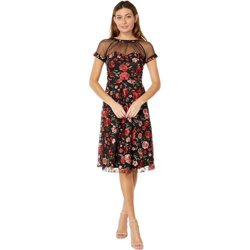  Maggy London Illusion Top Embroidered Fit-and-Flare Dress