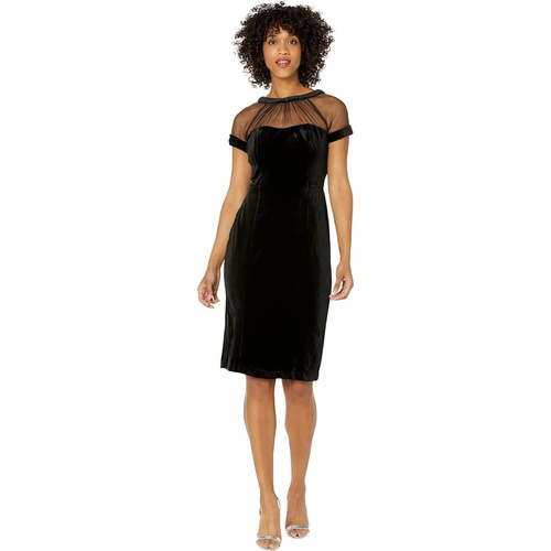  Maggy London Velvet Illusion Dress