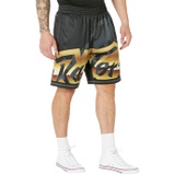 Mitchell & Ness NBA Big Face 4.0 Fashion Shorts Raptors