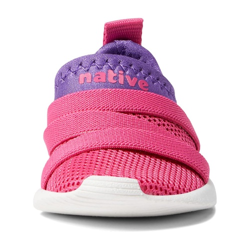  Native Shoes Kids Phoenix (Toddler/Little Kid)