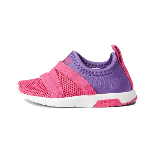  Native Shoes Kids Phoenix (Toddler/Little Kid)