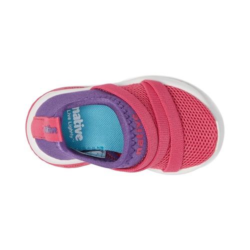  Native Shoes Kids Phoenix (Toddler/Little Kid)