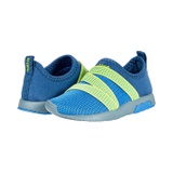 Native Shoes Kids Phoenix (Toddler)