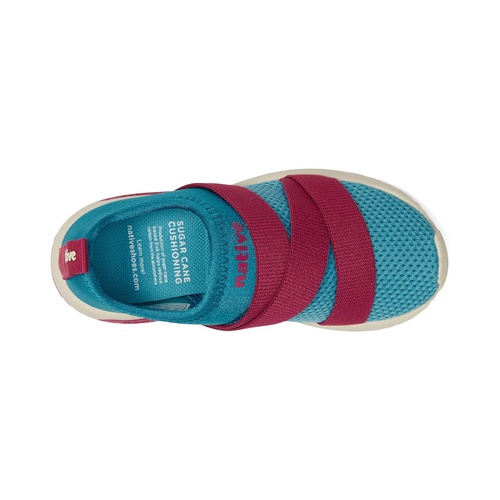  Native Shoes Kids Phoenix Sugarlite (Little Kid)