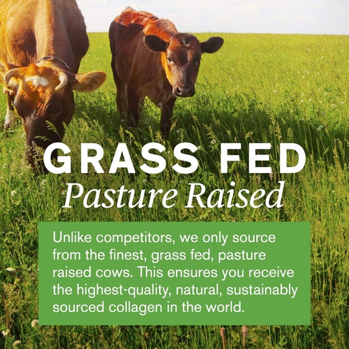  Natures Sunshine Collagen Powder Type I and III Grass Fed and Pasture Raised Premium Bovine Collagen Peptides 18 Oz