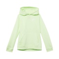 Nike Kids NSW Club Pullover Hoodie (Big Kids)