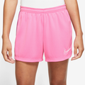 Nike Academy 23 Shorts