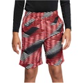 Nike Kids Dry All Over Print Shorts (Little Kidsu002FBig Kids)