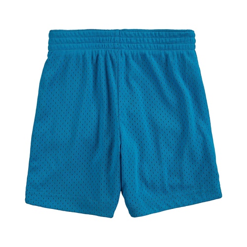 나이키 Nike Kids Space Jam Reversible Shorts (Toddler)