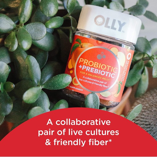  OLLY Probiotic + Prebiotic Gummy, Digestive Support and Gut Health, 500 Million CFUs, Fiber, Adult Chewable Supplement for Men and Women, Peach, 30 Day Supply - 30 Count