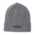 Oakley B1B Logo Beanie