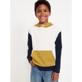 Gender-Neutral Pullover Hoodie for Kids Hot Deal