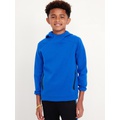 Dynamic Fleece Pullover Hoodie for Boys