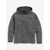 Dynamic Fleece Pullover Hoodie for Boys