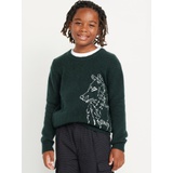 SoSoft Crew-Neck Printed Sweater for Boys Hot Deal