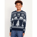 SoSoft Crew-Neck Printed Sweater for Boys