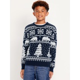 SoSoft Crew-Neck Printed Sweater for Boys Hot Deal