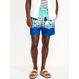 Printed Swim Trunks -- 7-inch inseam