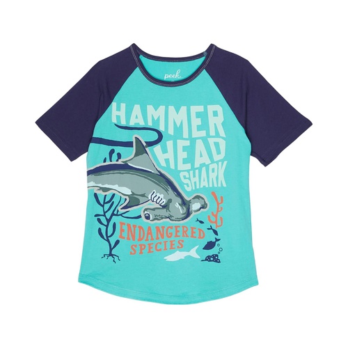  PEEK The Nature Conservancy Hammer Head Shark Tee (Toddleru002FLittle Kidsu002FBig Kids)