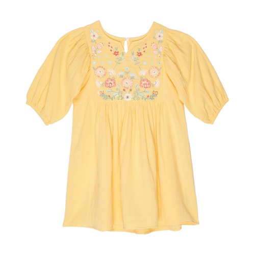  PEEK Fringed Embroidery Dress (Toddleru002FLittle Kidsu002FBig Kids)