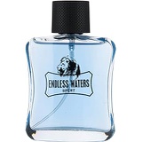 Perfume&Beauty ENDLESS WATERS Perfume for Men Parfum 100ML 3.4 fl.oz-Blue